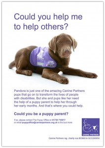 canine-partners